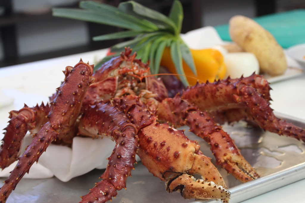 FESTIVAL PROVINCIAL DEL CHEF PATAGONICO 2