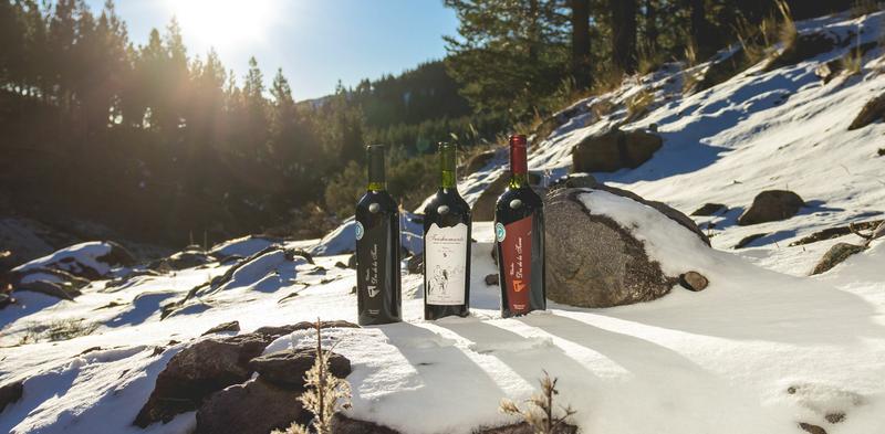 10924146_923803647663138_8961112883488099533_o